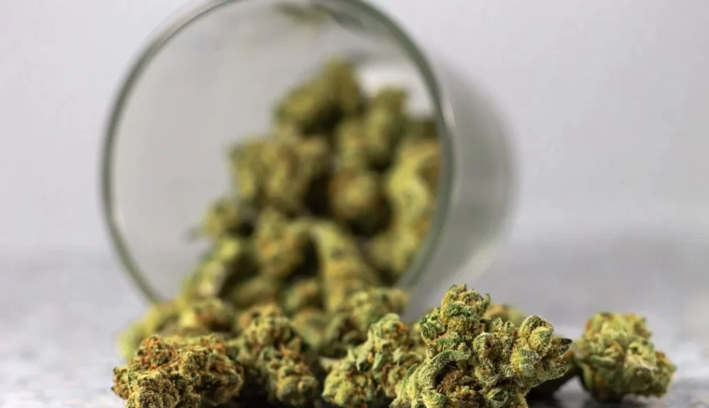 Exploring the Endless Possibilities of Hemp-Derived Delta-9 THC