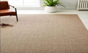 Are Sisal Rugs the Perfect Blend of Style and Sustainability