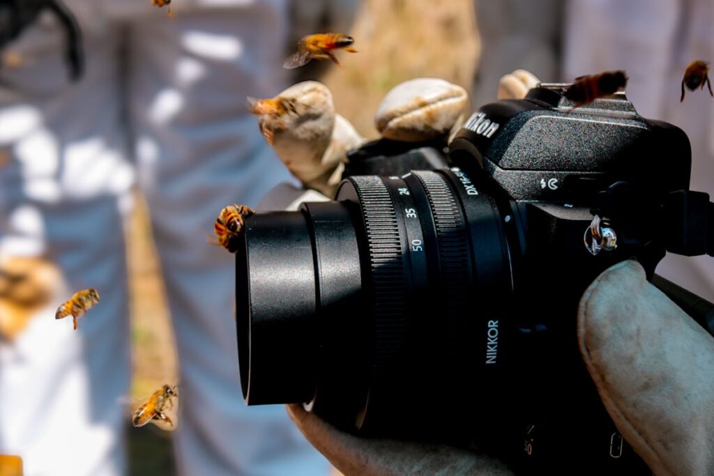 A Beginner’s Guide to Macro Photography: Discovering the World Up Close