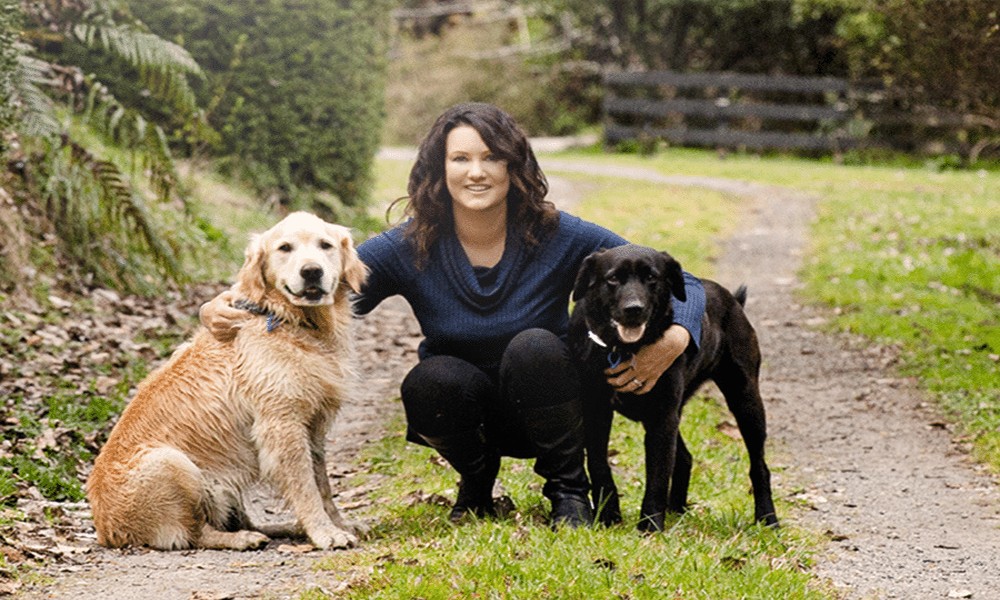 Why New Zealand Pet Owners Are Switching to Bravecto for Year-Round Flea Protection